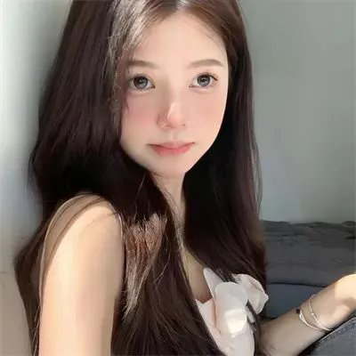 官方机密