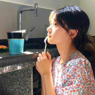 挪威的抵抗